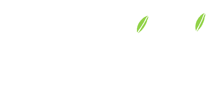 Radici